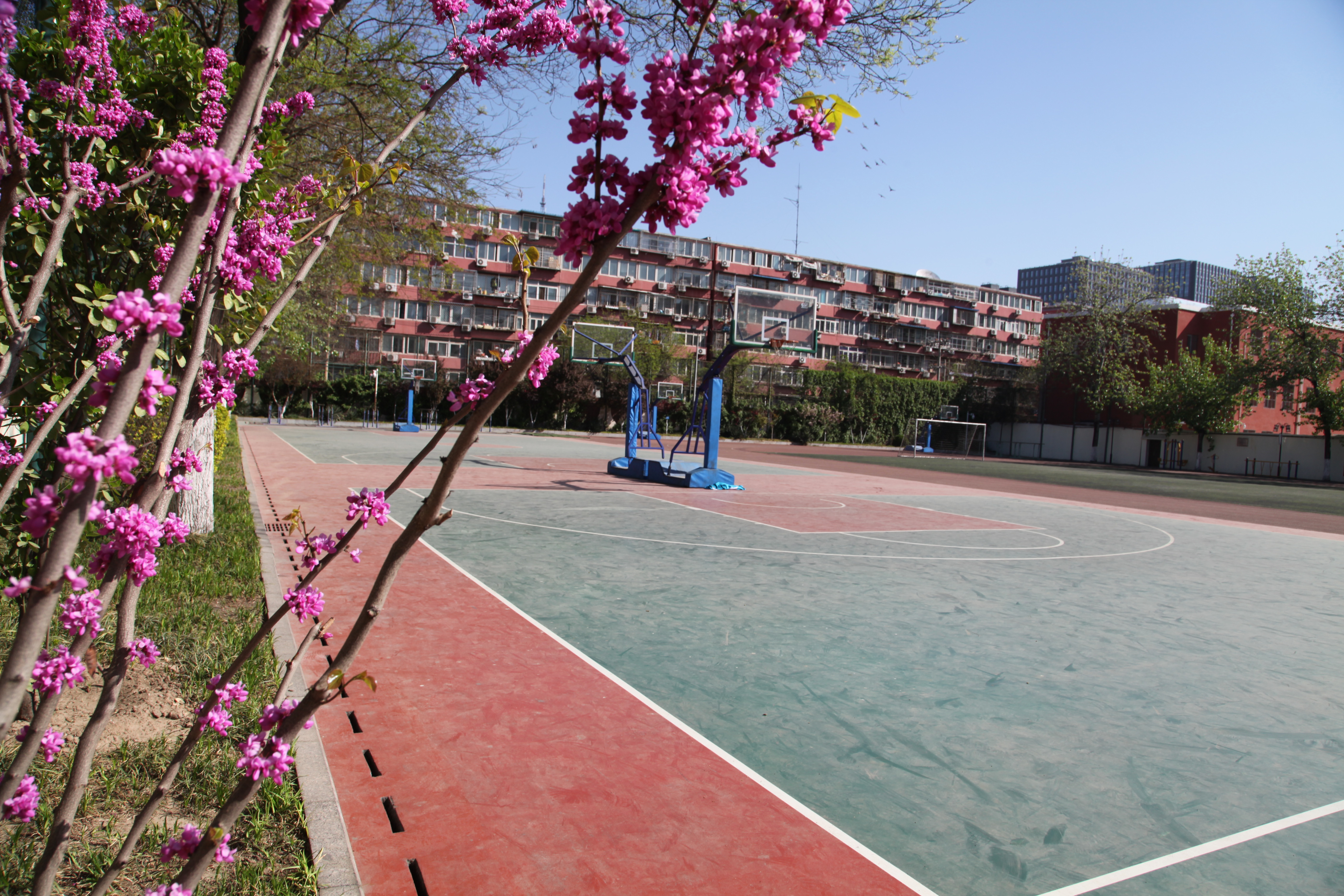 篮球场.jpg