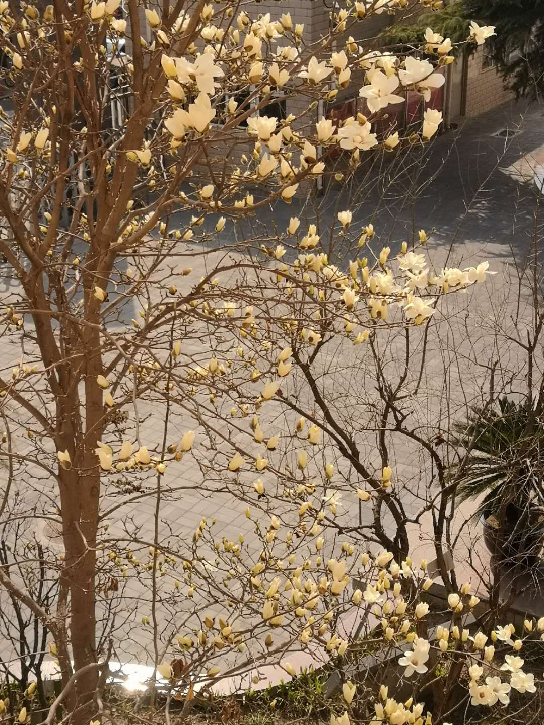 微信图片_20180403191555.jpg