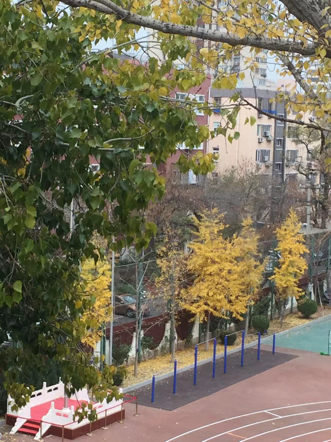 微信图片_20201116校长拍摄 (2).jpg